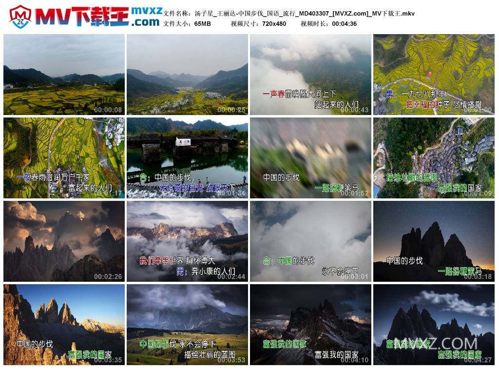 汤子星_王丽达-中国步伐_国语_流行_MD403307